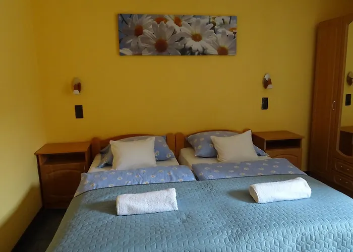 Maxim Ház Apartman *